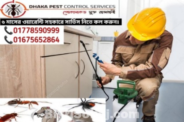 Pest Control Services